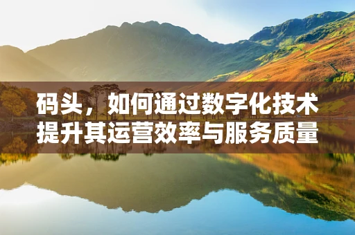 码头，如何通过数字化技术提升其运营效率与服务质量？
