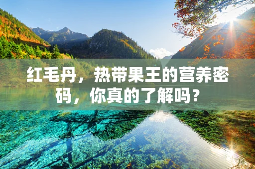 红毛丹，热带果王的营养密码，你真的了解吗？