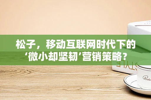 松子，移动互联网时代下的‘微小却坚韧’营销策略？