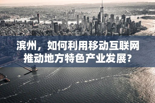 滨州，如何利用移动互联网推动地方特色产业发展？