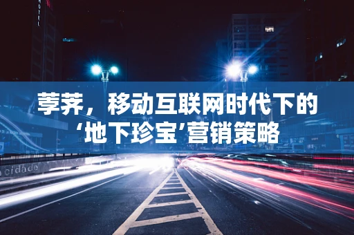 荸荠，移动互联网时代下的‘地下珍宝’营销策略