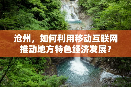 沧州，如何利用移动互联网推动地方特色经济发展？