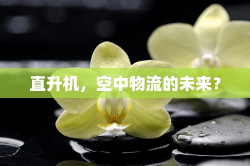 直升机，空中物流的未来？