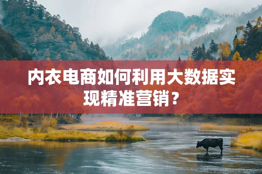 内衣电商如何利用大数据实现精准营销？