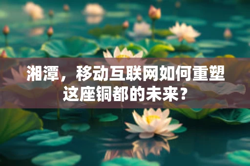 湘潭，移动互联网如何重塑这座铜都的未来？