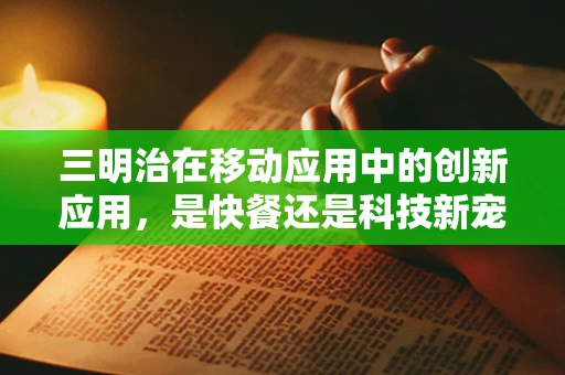 三明治在移动应用中的创新应用，是快餐还是科技新宠？