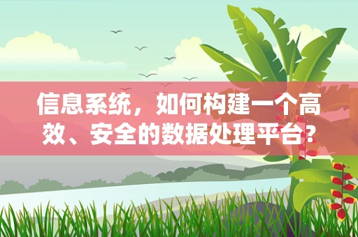 信息系统，如何构建一个高效、安全的数据处理平台？