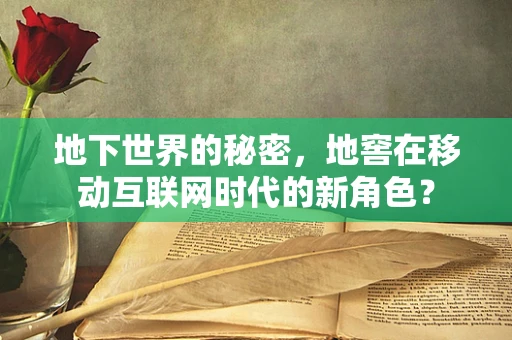 地下世界的秘密，地窖在移动互联网时代的新角色？