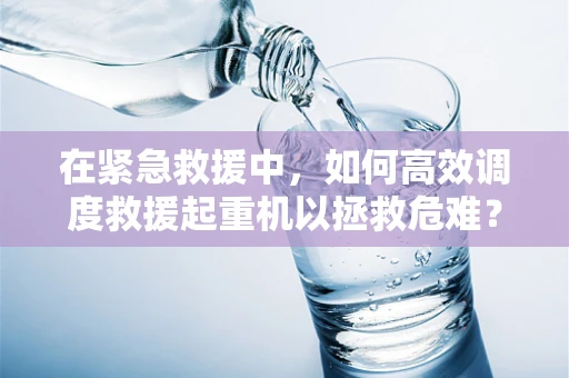 在紧急救援中，如何高效调度救援起重机以拯救危难？