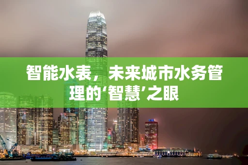 智能水表，未来城市水务管理的‘智慧’之眼