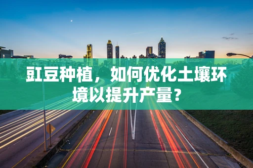 豇豆种植，如何优化土壤环境以提升产量？