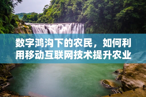 数字鸿沟下的农民，如何利用移动互联网技术提升农业生产力？