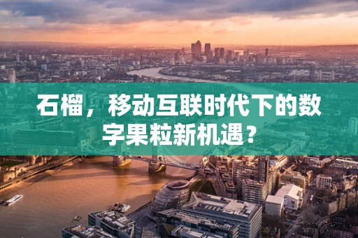 石榴，移动互联时代下的数字果粒新机遇？