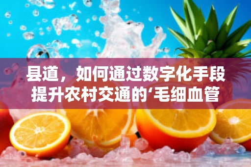 县道，如何通过数字化手段提升农村交通的‘毛细血管’？