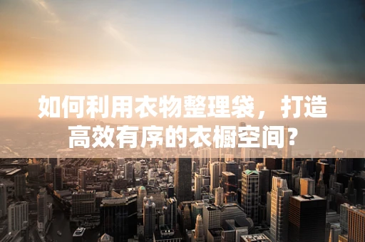 如何利用衣物整理袋，打造高效有序的衣橱空间？