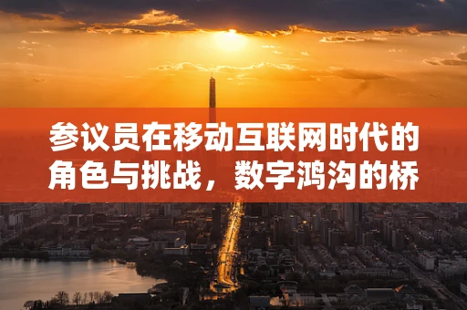 参议员在移动互联网时代的角色与挑战，数字鸿沟的桥梁还是障碍？