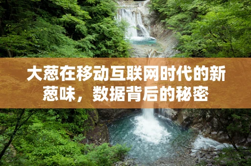 大葱在移动互联网时代的新葱味，数据背后的秘密