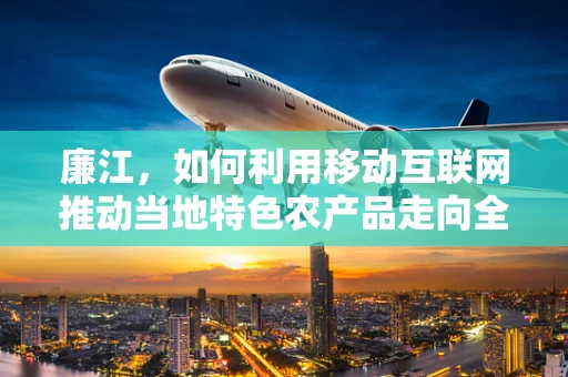 廉江，如何利用移动互联网推动当地特色农产品走向全国？