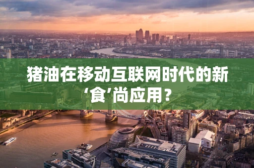 猪油在移动互联网时代的新‘食’尚应用？