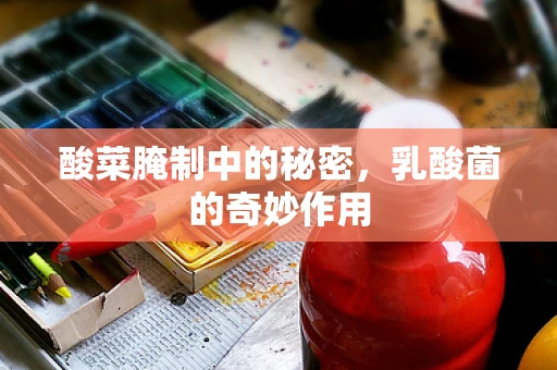 酸菜腌制中的秘密，乳酸菌的奇妙作用