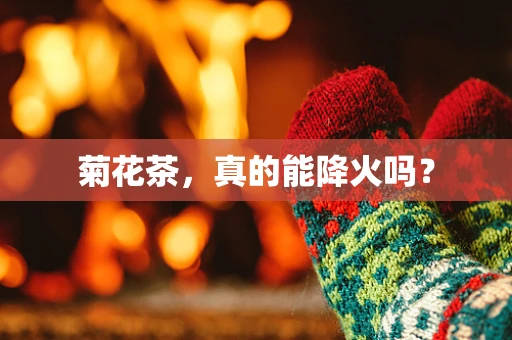 菊花茶，真的能降火吗？