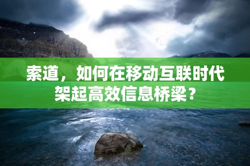 索道，如何在移动互联时代架起高效信息桥梁？