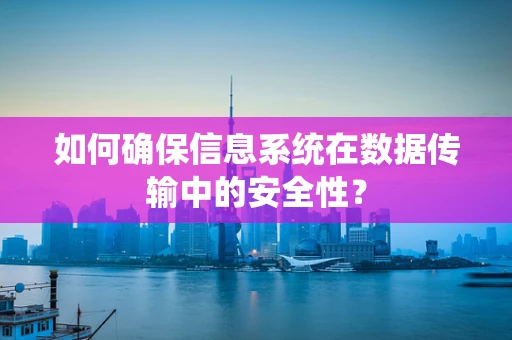 如何确保信息系统在数据传输中的安全性？