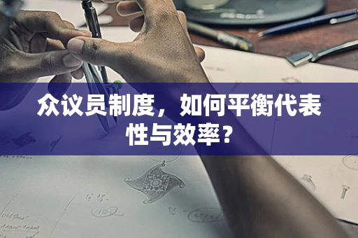 众议员制度，如何平衡代表性与效率？