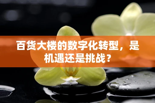 百货大楼的数字化转型，是机遇还是挑战？
