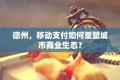 德州，移动支付如何重塑城市商业生态？