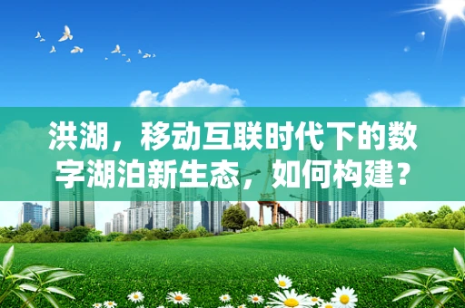 洪湖，移动互联时代下的数字湖泊新生态，如何构建？