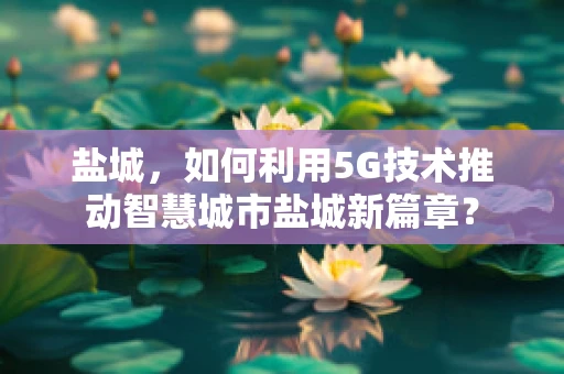 盐城，如何利用5G技术推动智慧城市盐城新篇章？