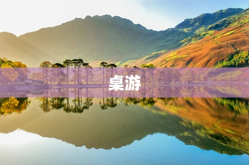桌游