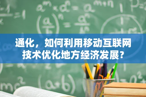 通化，如何利用移动互联网技术优化地方经济发展？