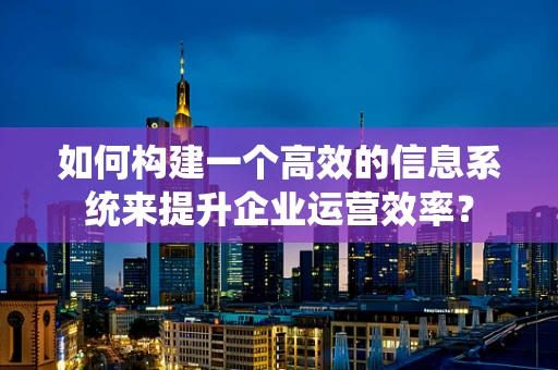 如何构建一个高效的信息系统来提升企业运营效率？