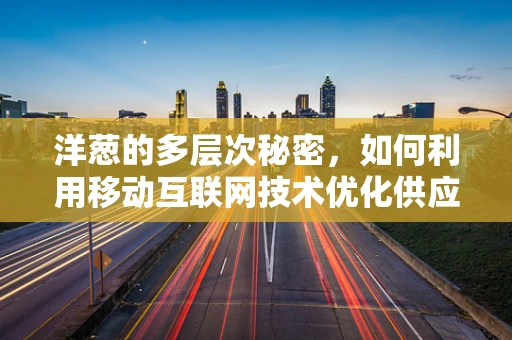 洋葱的多层次秘密，如何利用移动互联网技术优化供应链管理？