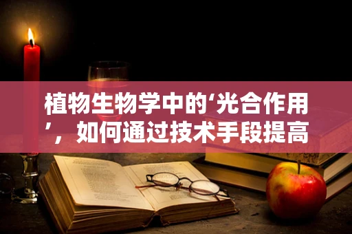 植物生物学中的‘光合作用’，如何通过技术手段提高其效率？