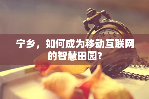 宁乡，如何成为移动互联网的智慧田园？