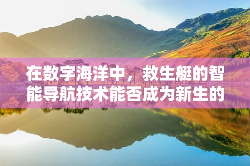 在数字海洋中，救生艇的智能导航技术能否成为新生的生命线？