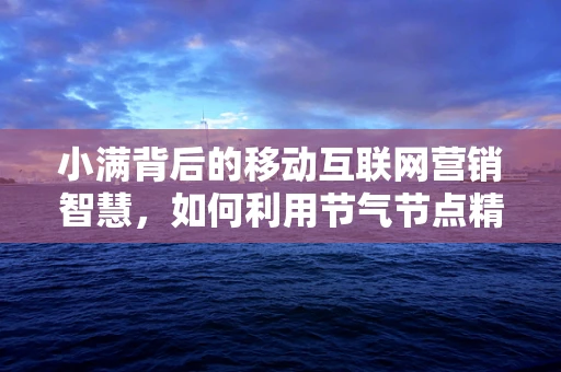 小满背后的移动互联网营销智慧，如何利用节气节点精准触达用户？