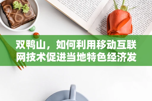 双鸭山，如何利用移动互联网技术促进当地特色经济发展？