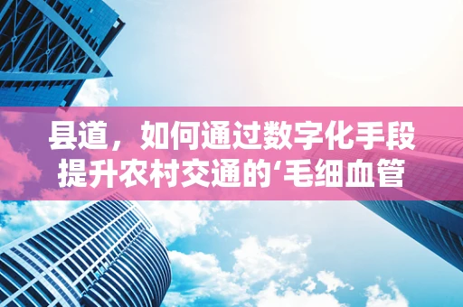 县道，如何通过数字化手段提升农村交通的‘毛细血管’？