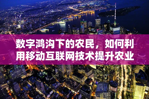 数字鸿沟下的农民，如何利用移动互联网技术提升农业生产效率？