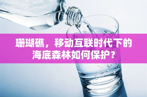珊瑚礁，移动互联时代下的海底森林如何保护？