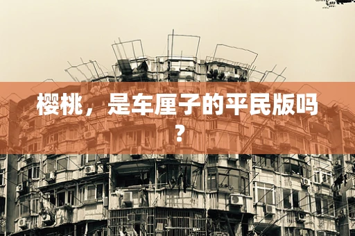 樱桃，是车厘子的平民版吗？