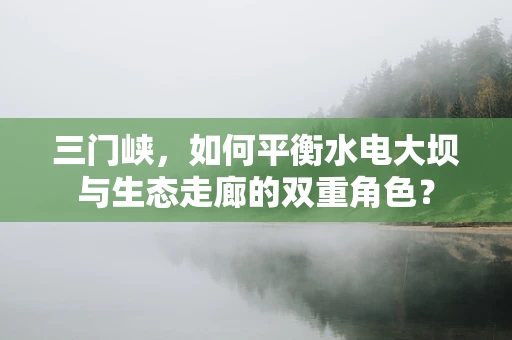 三门峡，如何平衡水电大坝与生态走廊的双重角色？