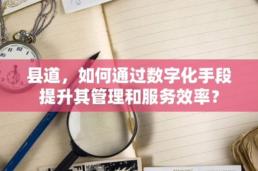 县道，如何通过数字化手段提升其管理和服务效率？