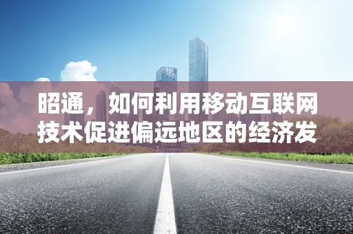 昭通，如何利用移动互联网技术促进偏远地区的经济发展？