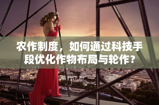 农作制度，如何通过科技手段优化作物布局与轮作？