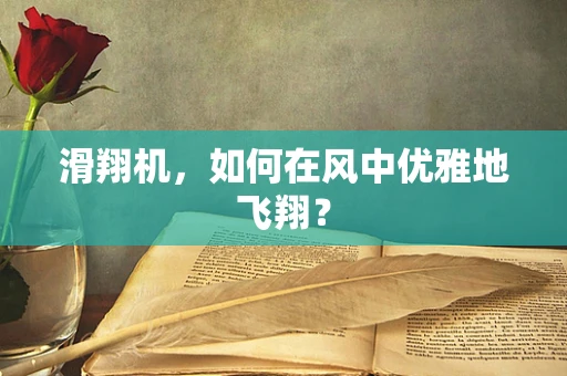 滑翔机，如何在风中优雅地飞翔？